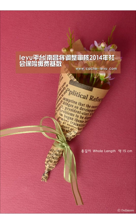 leyu平台|南昌将调整审核2014年社会保险缴费基数(图3) 乐鱼体育官网